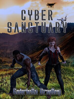 cover image of Cyber Sanctuary
